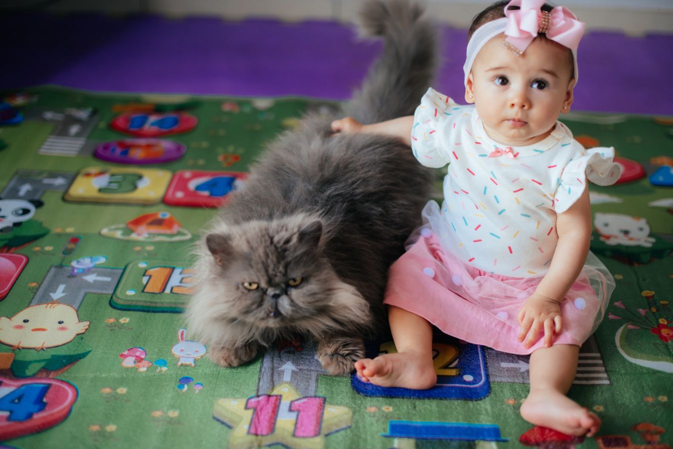 Kids / Baby / Família